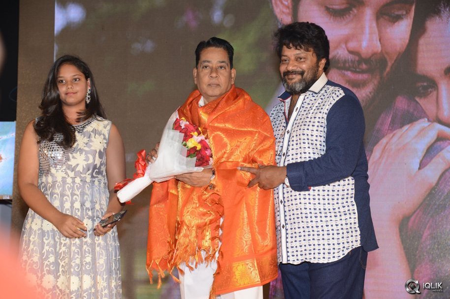 Garam-Movie-Audio-Launch